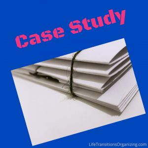 Case Study_LifeTransitionsOrganizing.com